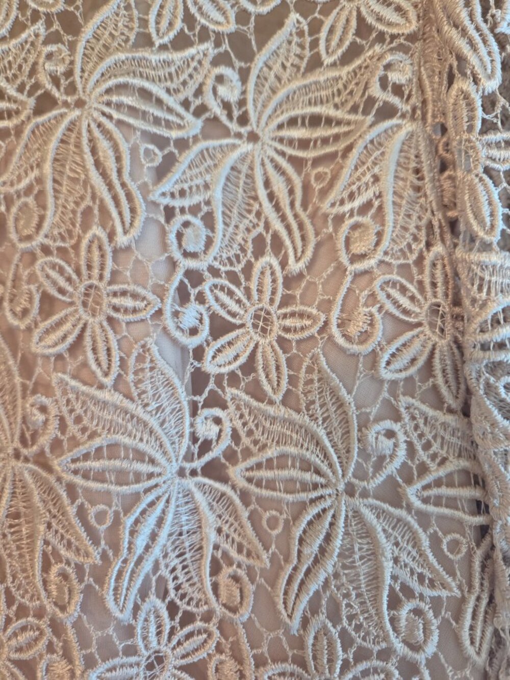 Jill Paige Original Blush Beige Size 12 100% Polyester Shell & Lining Gown - Picture 3 of 6